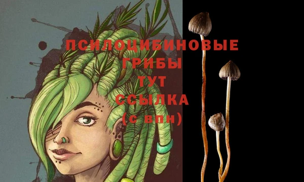 МДМА Верея