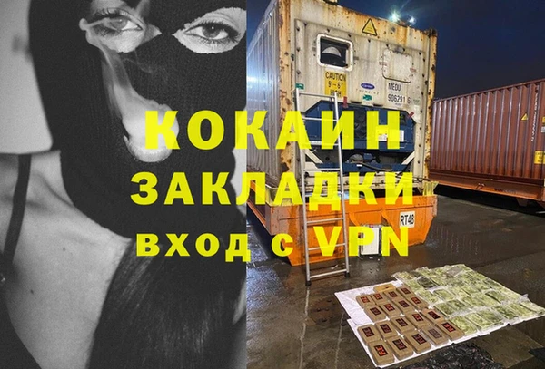 спайс Богданович